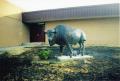 Thumbnail image of item number 1 in: 'The Spirit of the Community & the School Buffalo Survives'.