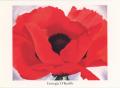 Thumbnail image of item number 1 in: 'Georgia O'Keeffe 1887-1986 [Invitation]'.
