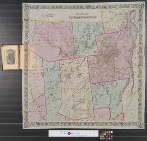 Primary view of object titled 'Colton's Map of the New York Wilderness.'.