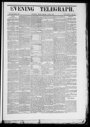 Primary view of object titled 'Evening Telegraph (Houston, Tex.), Vol. 36, No. 56, Ed. 1 Friday, June 3, 1870'.