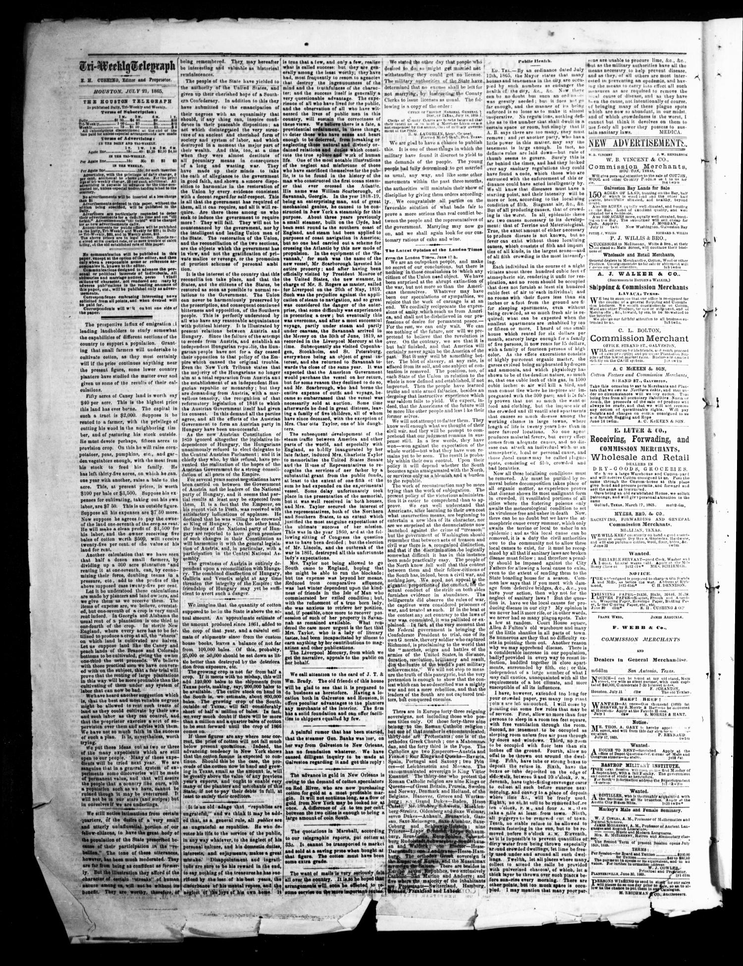 Houston Tri-Weekly Telegraph (Houston, Tex.), Vol. 31, No. 51, Ed. 1 Friday, July 21, 1865
                                                
                                                    [Sequence #]: 2 of 4
                                                