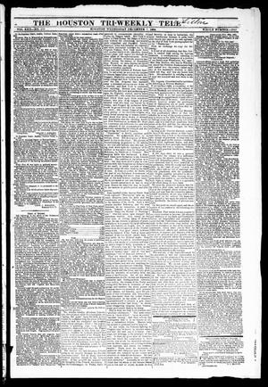 Primary view of object titled 'The Houston Tri-Weekly Telegraph (Houston, Tex.), Vol. 30, No. 179, Ed. 1 Wednesday, December 7, 1864'.