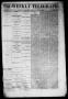 Primary view of Tri-Weekly Telegraph (Houston, Tex.), Vol. 32, No. 42, Ed. 1 Friday, June 22, 1866
