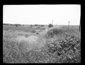 Primary view of object titled '[Photograph of a Car Parked in a Field]'.