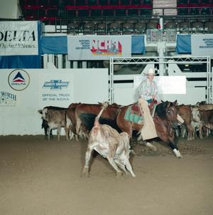 Primary view of object titled '[Cutting Horse Competition: Image 1991_D-106_01]'.