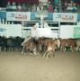 Photograph: [Cutting Horse Competition: Tivios Missy Bev #3]