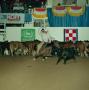 Photograph: [Cutting Horse Competition: Tivios Missy Bev #6]