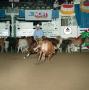 Photograph: [Cutting Horse Competition: Mananas Peppy #2]