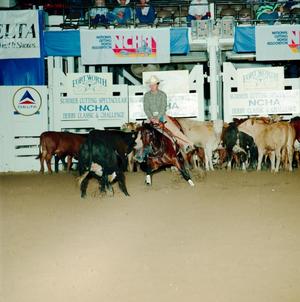 Primary view of object titled '[Cutting Horse Competition: Sr Gata #3]'.