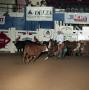 Photograph: Cutting Horse Competition: Image 1991_D-240_07