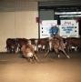 Thumbnail image of item number 1 in: 'Cutting Horse Competition: Image 1991_D-8_01'.
