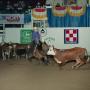 Photograph: Cutting Horse Competition: Image 1991_D-90_04