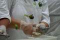 Primary view of [Close-up of hands of worker juicing fruit]