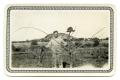 Photograph: [Photograph of a Man Holding Two Branches]