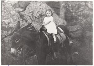 Primary view of object titled '[A Mayor's Granddaughter on a Donkey]'.
