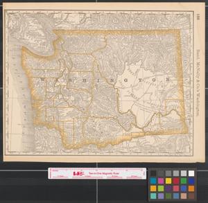 Primary view of object titled 'Rand McNally & Co.'s Washington.'.