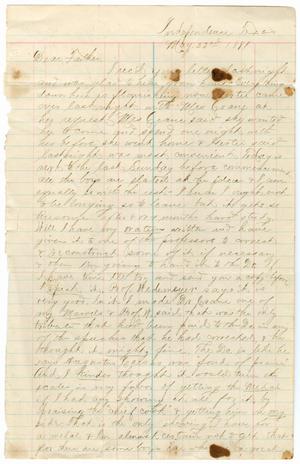 Primary view of object titled '[Letter from Paul Osterhout to John Patterson Osterhout, May 22, 1881]'.
