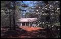 Primary view of [Photograph of House in Pine and Dogwood Trees]