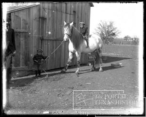 Primary view of object titled '[Children With a Horse]'.