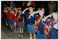 Primary view of [Boy Scouts at a Flag Ceremony]