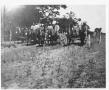 Photograph: Farmers in Bransford with Their Mule Team