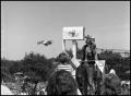 Photograph: [Chicken Flying Contest]