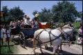 Photograph: [A Horse-Drawn Wagon Ride]