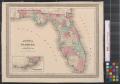 Map: Johnson's Florida.