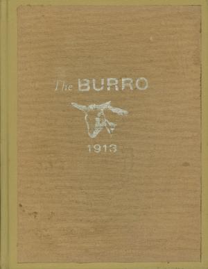 Primary view of object titled 'The Burro, Yearbook of Mineral Wells High School, 1913'.