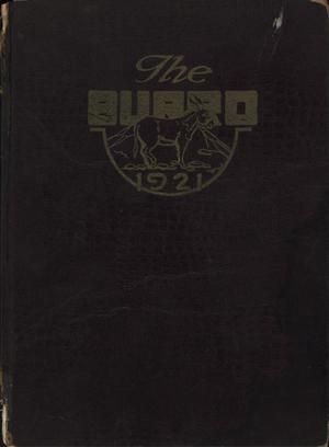 Primary view of object titled 'The Burro, Yearbook of Mineral Wells High School, 1921'.
