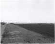 Primary view of Grove Road, 1968, Richardson, Texas