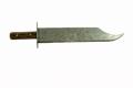 Physical Object: Bowie knife