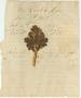 Primary view of Leaves from the coffin of General Robert E. Lee