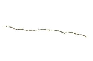 Primary view of object titled '[Crandal's Telegraph Splice Barbed Wire]'.