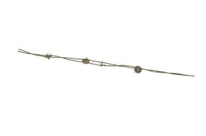 Primary view of object titled '[10-Point Spur Barbed Wire]'.