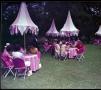 Photograph: Outdoor Reception, Fashion Show and Buffet