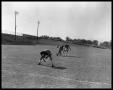 Photograph: [Three Anderson High School Student Playing Football]