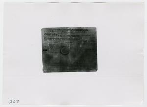 Primary view of object titled '[Vaccination Record, Photograph #2]'.