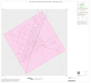 Primary view of object titled '1990 Census County Block Map (Recreated): Limestone County, Inset G01'.