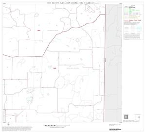 Primary view of object titled '1990 Census County Block Map (Recreated): Coleman County, Block 12'.