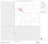Map: 1990 Census County Block Map (Recreated): Archer County, Block 13