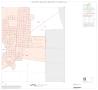 Map: 1990 Census County Block Map (Recreated): Jim Hogg County, Inset A04