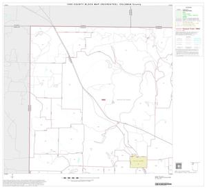 Primary view of object titled '1990 Census County Block Map (Recreated): Coleman County, Block 1'.