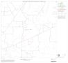 Map: 1990 Census County Block Map (Recreated): Starr County, Block 10