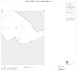 Primary view of object titled '1990 Census County Block Map (Recreated): Bosque County, Inset G04'.