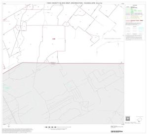 Primary view of object titled '1990 Census County Block Map (Recreated): Guadalupe County, Block 20'.