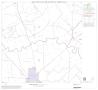 Map: 1990 Census County Block Map (Recreated): Karnes County, Block 10