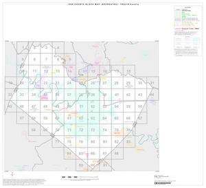 Primary view of object titled '1990 Census County Block Map (Recreated): Travis County, Index'.