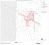 Map: 1990 Census County Block Map (Recreated): Wichita County, Block 11