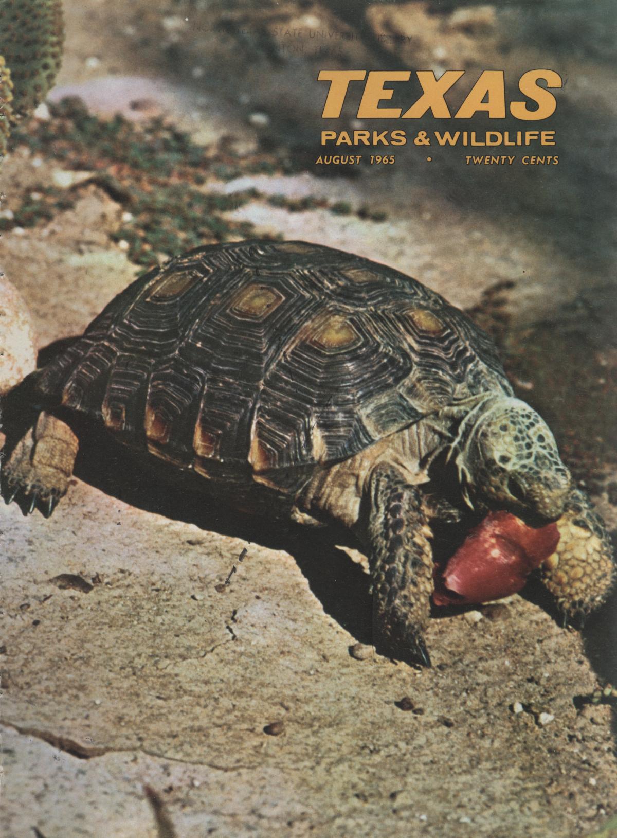 Texas Parks & Wildlife, Volume 23, Number 8, August 1965
                                                
                                                    Front Cover
                                                